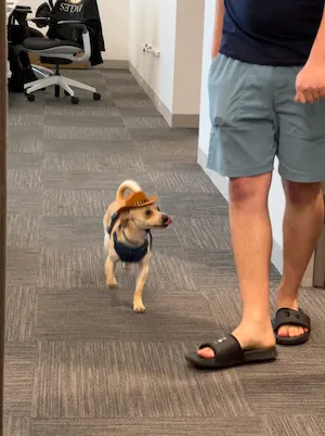 Cowboy walking through an office