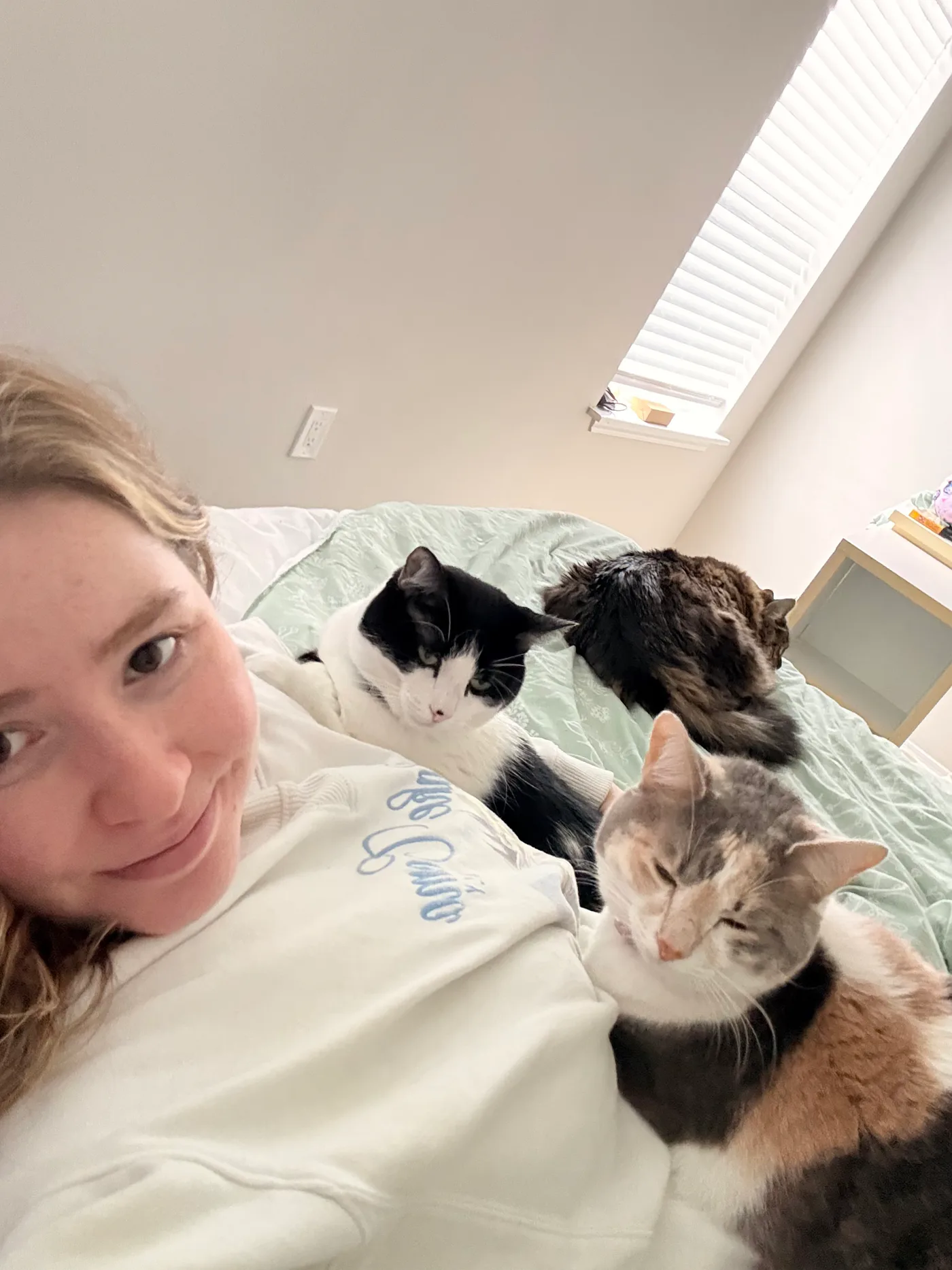Haylee Pulisciano relaxing at home with her three cats
